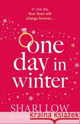 One Day in Winter Shari Low 9781035926091
