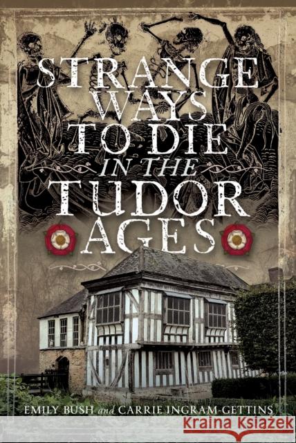 Strange Ways To Die in the Tudor Ages Carrie Ingram-Gettins 9781036108731 Pen & Sword Books Ltd