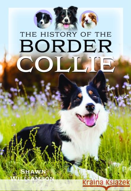 The History of the Border Collie Shawn Williamson 9781036117375