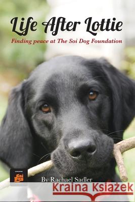 Life After Lottie Rachael Sadler 9781036927486 Aliciam Books