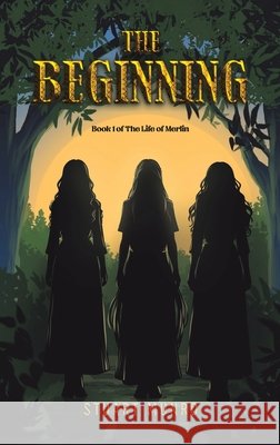 The Beginning Stuart Munro 9781037119910 Austin Macauley Publishers