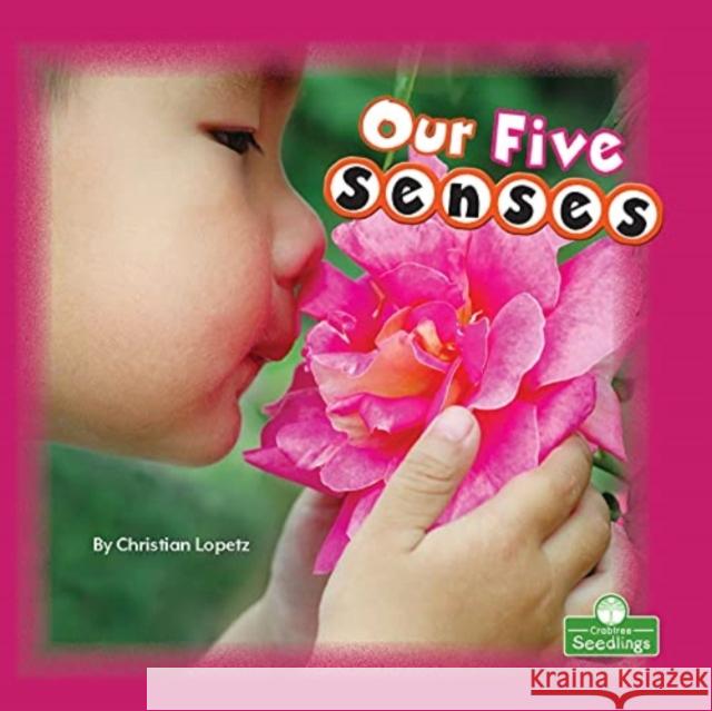 Our Five Senses Christian Lopetz 9781039600065 Crabtree Seedlings