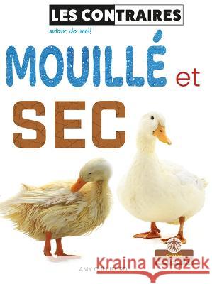 Mouillé Et SEC (Wet and Dry) Culliford, Amy 9781039605879 Crabtree Roots - Les Racines