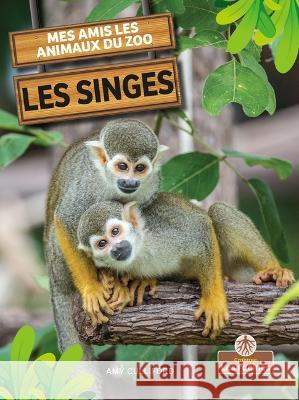 Les Singes (Monkeys) Culliford, Amy 9781039607606 Crabtree Roots - Les Racines