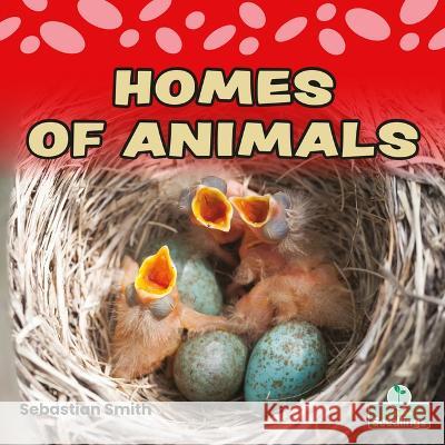 Homes of Animals Sebastian Smith 9781039662186 Crabtree Seedlings