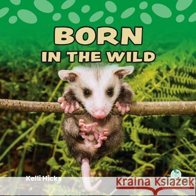 Born in the Wild Kelli Hicks 9781039662193