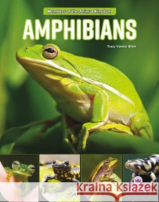 Amphibians Tracy Vonder Brink 9781039800816 Crabtree Crown
