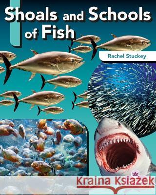 Shoals and Schools of Fish Rachel Stuckey 9781039806818 Crabtree Crown