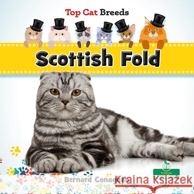 Scottish Fold Bernard Conaghan 9781039838482 Crabtree Seedlings