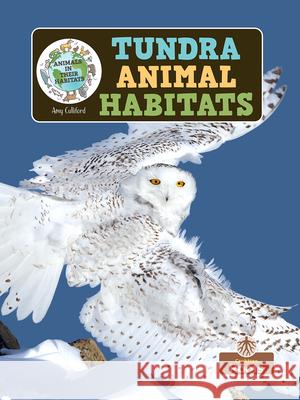 Tundra Animal Habitats Amy Culliford 9781039844599