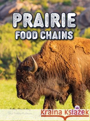 Prairie Food Chains Molly Aloian Bobbie Kalman 9781039872974 Crabtree Crown