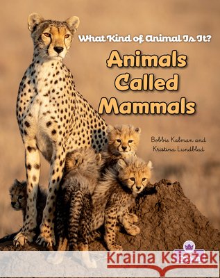 Animals Called Mammals Rebecca Sjonger Bobbie Kalman 9781039873148