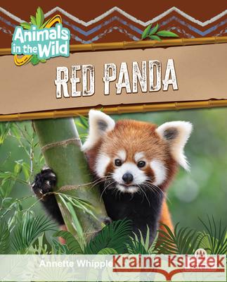 Red Panda Annette Whipple 9781039874831