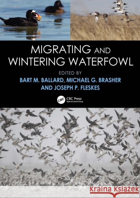 Migrating and Wintering Waterfowl Bart M. Ballard Michael G. Brasher Joseph P. Fleskes 9781041142294