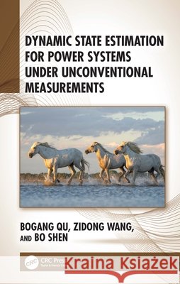 Dynamic State Estimation for Power Systems under Unconventional Measurements Bo Shen 9781041163169 Taylor & Francis Ltd