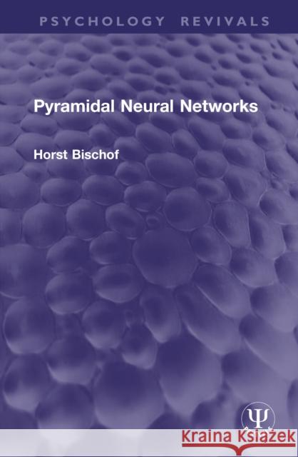 Pyramidal Neural Networks Horst Bischof 9781041287834