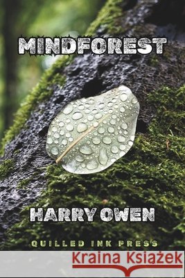 Mindforest Owen, Harry 9781049219042