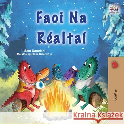 Under the Stars (Irish Children's Book) Sam Sagolski Kidkiddos Books 9781049702957 Kidkiddos Books Ltd.