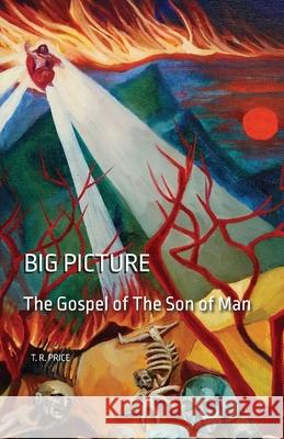 Big Picture: The Gospel of The Son of Man T. R. Price 9781068292002 Valiant Media Wales
