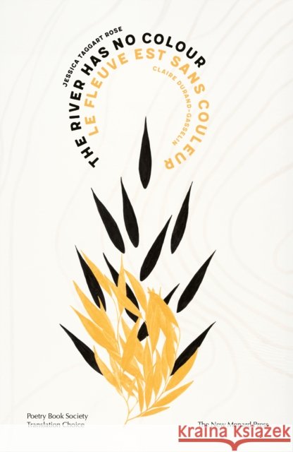 The River Has No Colour Jessica Taggart Rose 9781068680403