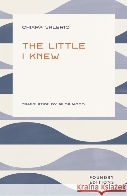 The Little I Knew Chiara Valerio 9781068693489