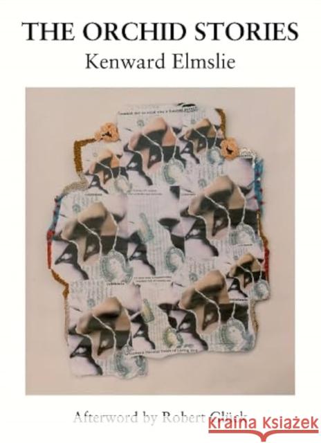 The Orchid Stories Kenward Elmslie 9781068758614