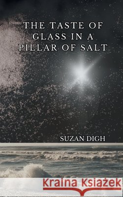 The Taste of Glass in a Pillar of Salt Suzan Digh 9781069870322 Sapphic Spectrum