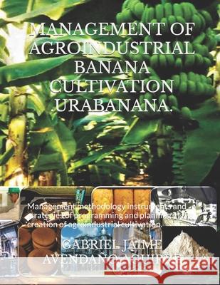 Management of Agroindustrial Banana Cultivation .Urabanana.: Management methodology instruments and strategies of programming and planning in the creation of agroindustrial cultivation. Gabriel Jaime Avendaño Aguirre 9781070179049 Independently Published