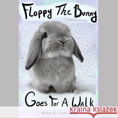 Floppy The Bunny Goes For A Walk Trinity David 9781070722993 Independently Published