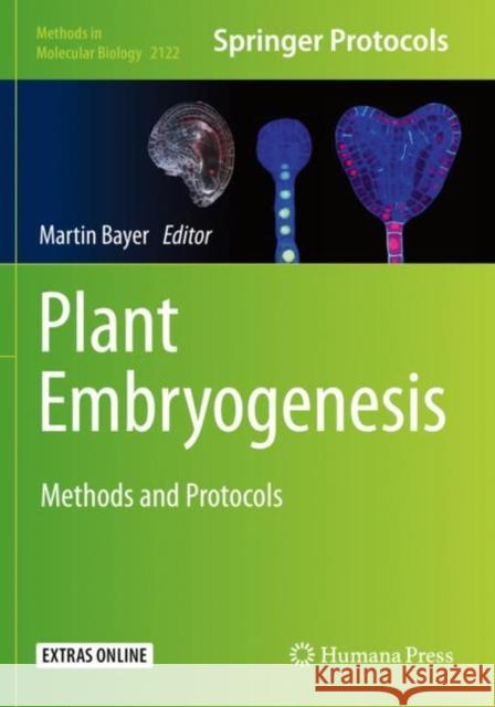 Plant Embryogenesis: Methods and Protocols Martin Bayer 9781071603444 Humana