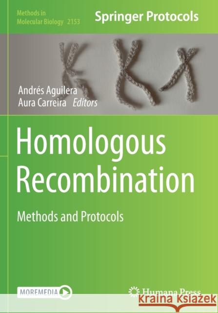 Homologous Recombination: Methods and Protocols Andr Aguilera Aura Carreira 9781071606469 Humana
