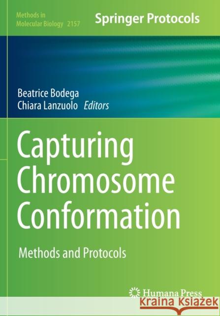 Capturing Chromosome Conformation: Methods and Protocols Beatrice Bodega Chiara Lanzuolo 9781071606667 Humana