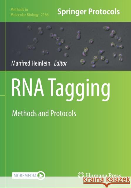 RNA Tagging: Methods and Protocols Manfred Heinlein 9781071607145 Humana