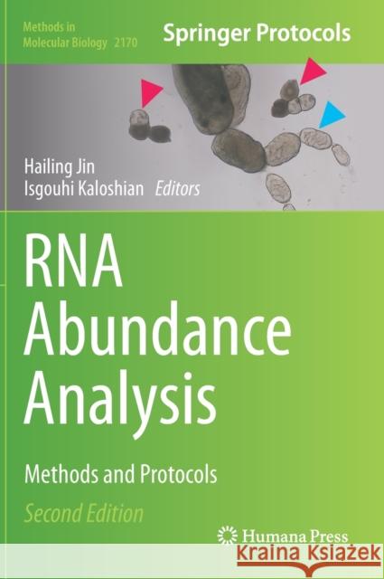 RNA Abundance Analysis: Methods and Protocols Jin, Hailing 9781071607428 Humana