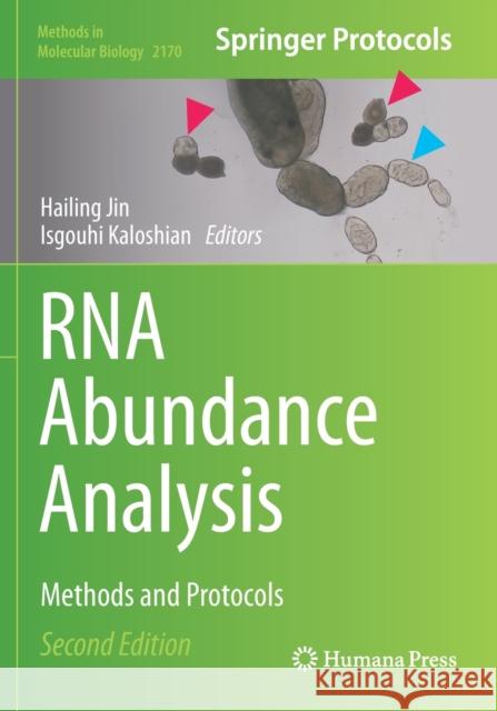 RNA Abundance Analysis: Methods and Protocols Hailing Jin Isgouhi Kaloshian 9781071607459 Humana