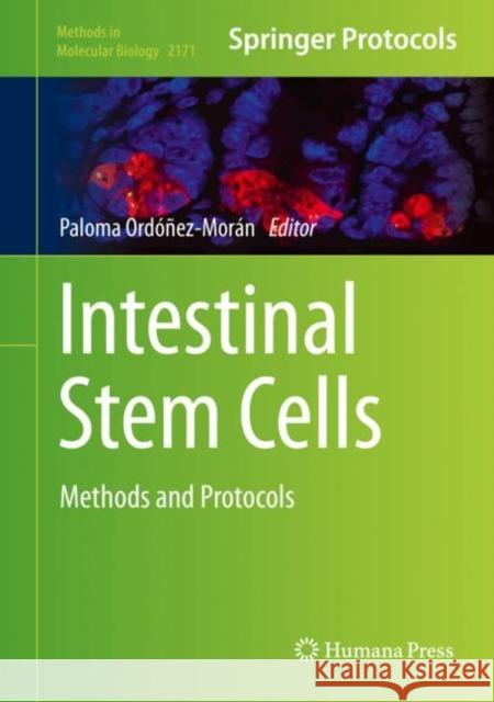 Intestinal Stem Cells: Methods and Protocols Ordóñez-Morán, Paloma 9781071607466 Humana