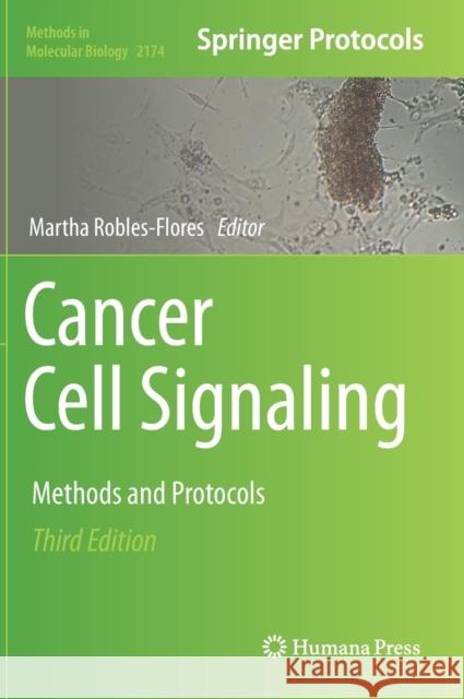 Cancer Cell Signaling: Methods and Protocols Robles-Flores, Martha 9781071607589 Humana