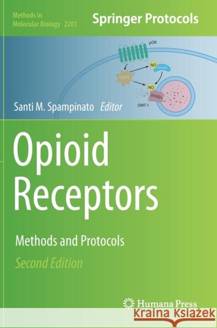 Opioid Receptors: Methods and Protocols Spampinato, Santi M. 9781071608838 Humana