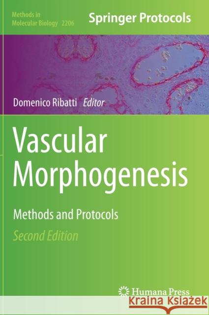 Vascular Morphogenesis: Methods and Protocols Ribatti, Domenico 9781071609156 Humana
