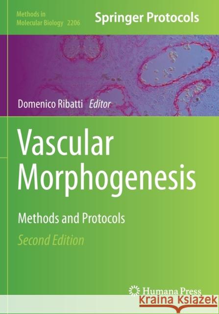 Vascular Morphogenesis: Methods and Protocols Domenico Ribatti 9781071609187