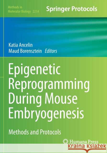Epigenetic Reprogramming During Mouse Embryogenesis: Methods and Protocols Ancelin, Katia 9781071609606 Springer US