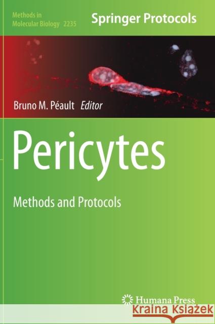Pericytes: Methods and Protocols Péault, Bruno M. 9781071610558 Humana