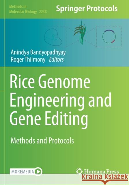 Rice Genome Engineering and Gene Editing: Methods and Protocols Bandyopadhyay, Anindya 9781071610701