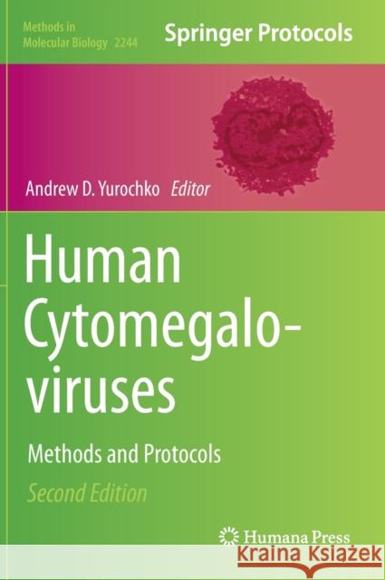 Human Cytomegaloviruses: Methods and Protocols Andrew D. Yurochko 9781071611104 Humana