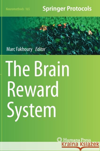 The Brain Reward System Marc Fakhoury 9781071611456 Humana