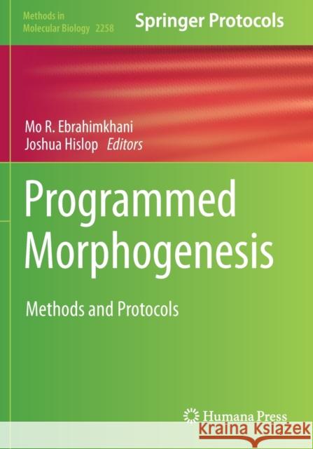 Programmed Morphogenesis: Methods and Protocols Ebrahimkhani, Mo R. 9781071611760 Springer US