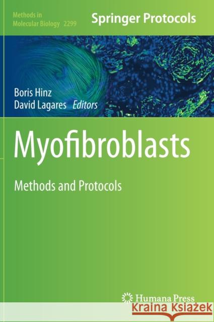 Myofibroblasts: Methods and Protocols Boris Hinz David Lagares 9781071613818