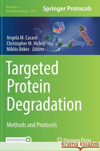 Targeted Protein Degradation: Methods and Protocols Angela Cacace Christopher Hickey Miklos Bekes 9781071616642 Humana