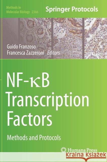Nf-κb Transcription Factors: Methods and Protocols Franzoso, Guido 9781071616680
