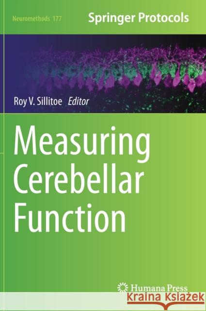 Measuring Cerebellar Function  9781071620250 Springer US